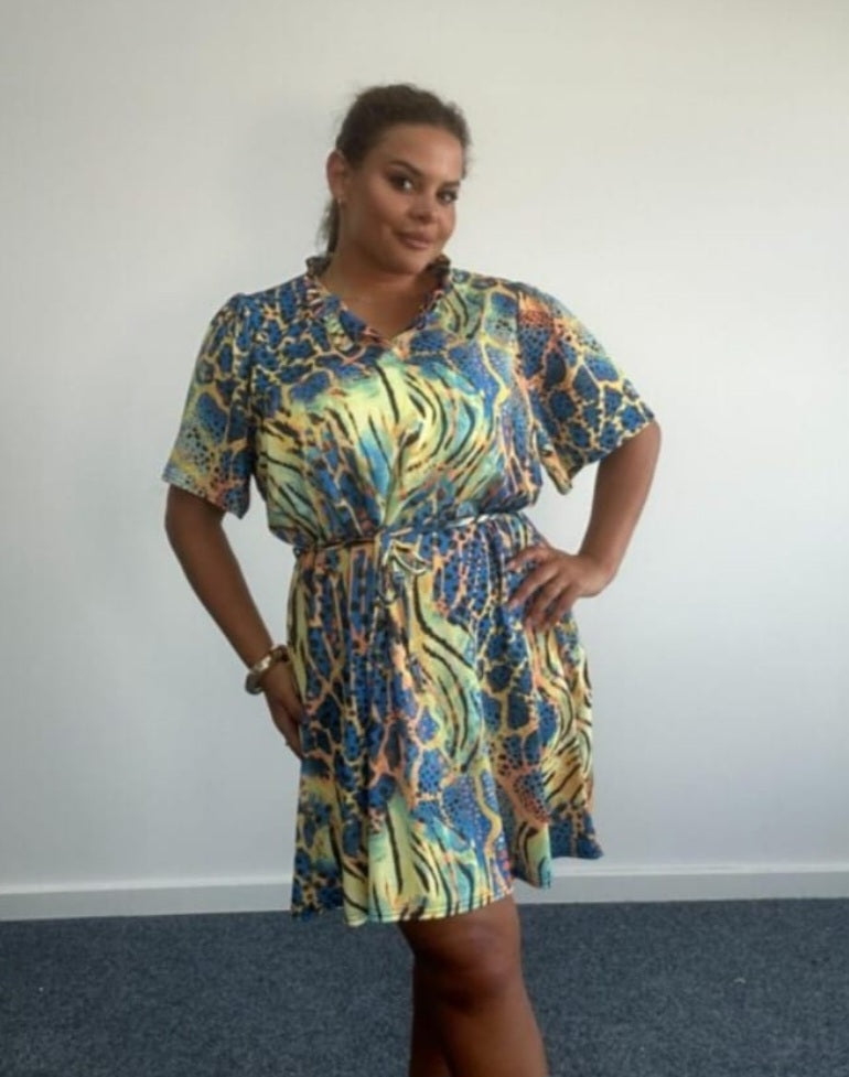 Curve print dresses