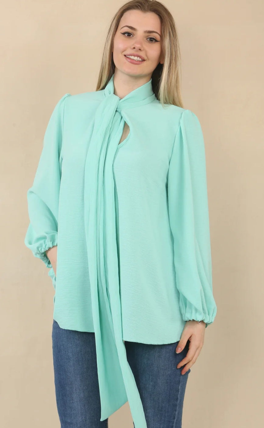 Ladies blouse