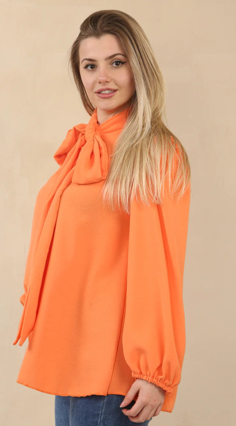 Ladies blouse